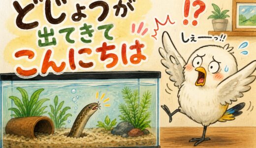 ♪どしょうが出てきて、こんにちは♫