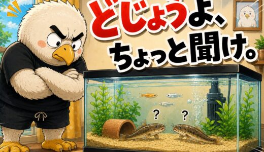 どじょうよ、ちょっと聞け。